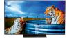 LG OLED55C31LA