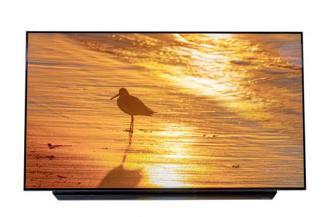 LG OLED55C11