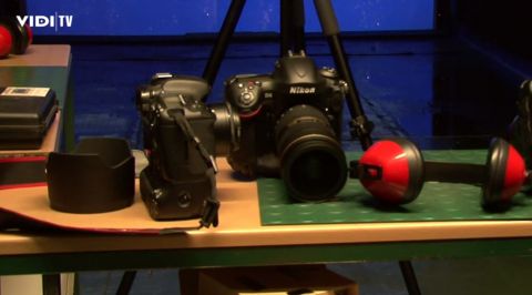 Canon EOS 1DX vs Nikon D4